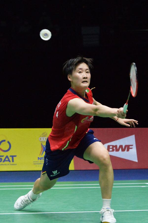 諾伊爾的復 諾伊爾的復