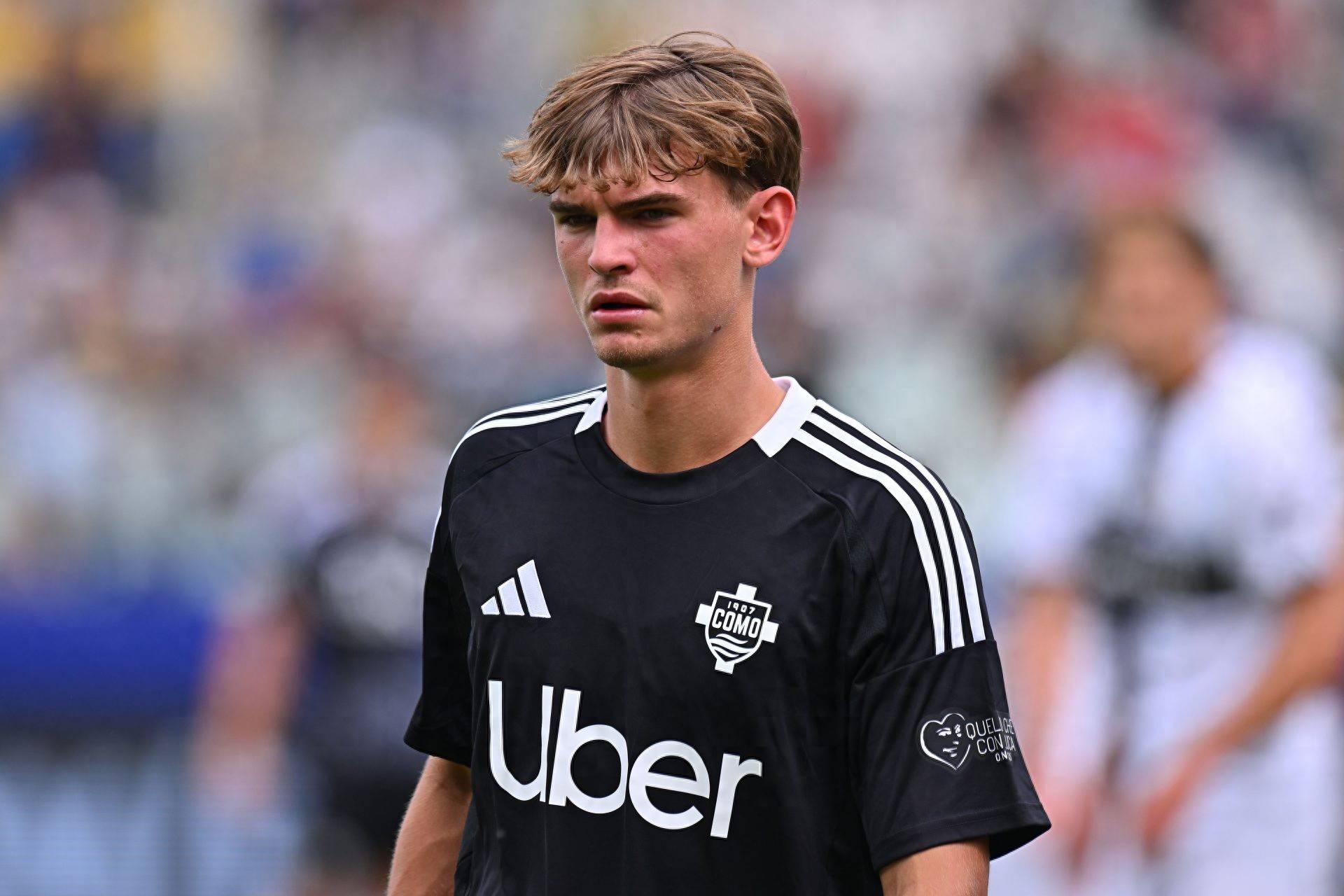 赋予了新的 赋予了新的