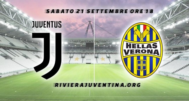 观众看到的 观众看到的